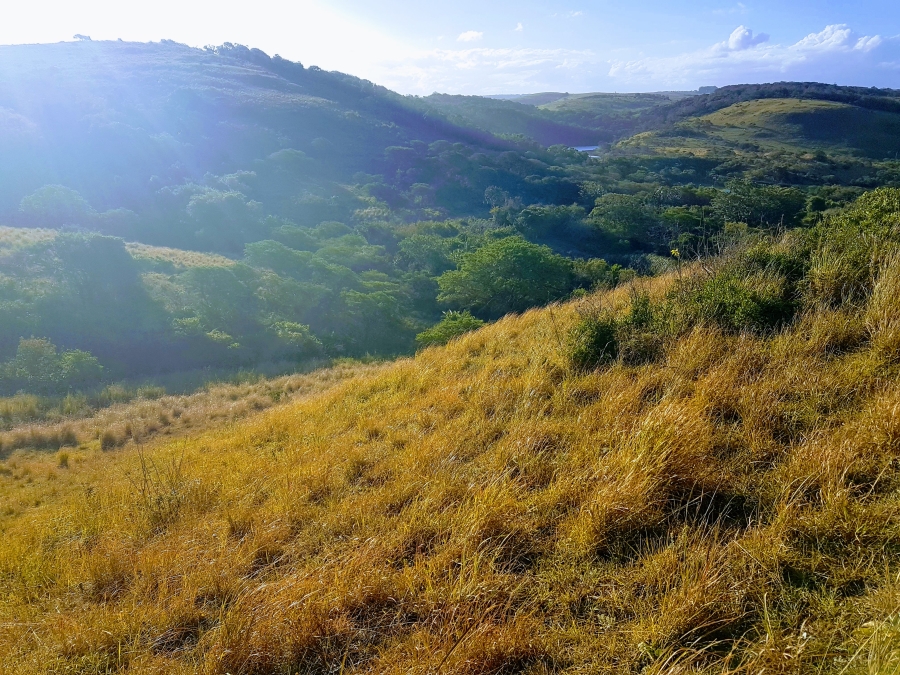 0 Bedroom Property for Sale in Morgans Bay Eastern Cape